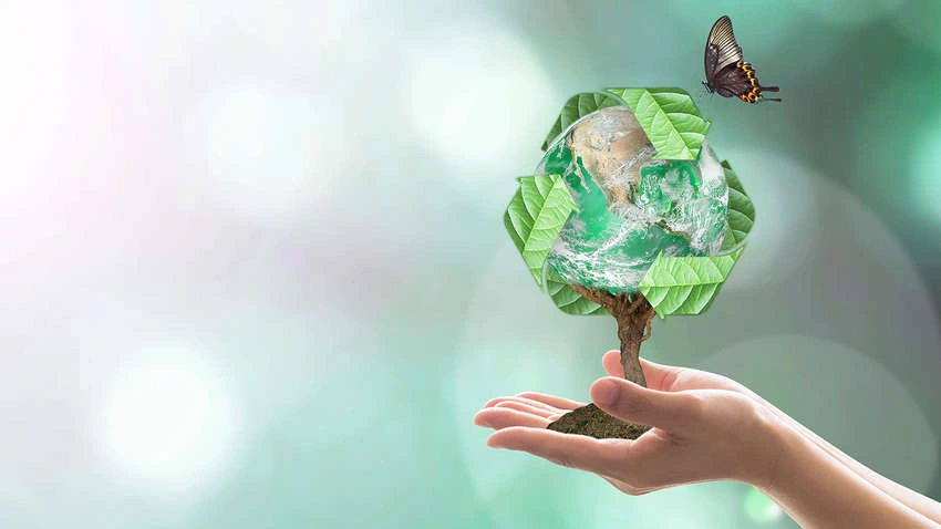 Опубліковано рейтинг найвпливовіших жінок в екологічній політиці України