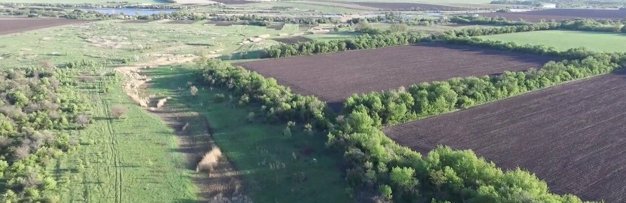 Екотеррорізм або реальна турбота про навколишнє середовище: чому почастішали випадки маніпуляції на темі екології