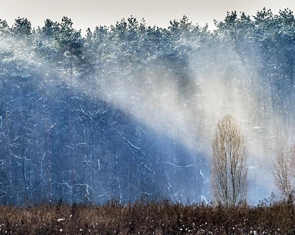 Експерт попередив про екологічну катастрофу на Україні