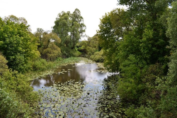  За останні 25 років зникло близько сотні українських річок