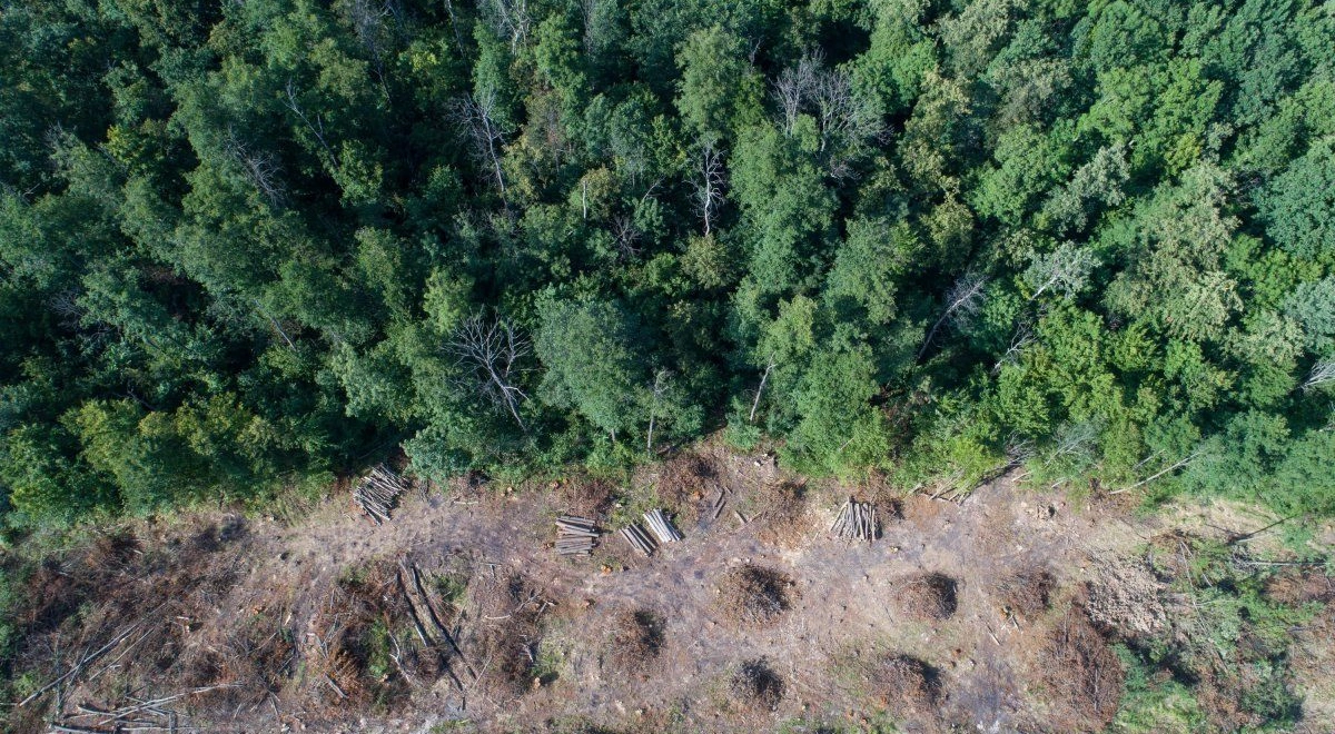 В Україні хочуть фіксувати екологічні порушення за допомогою аерокосмічної зйомки