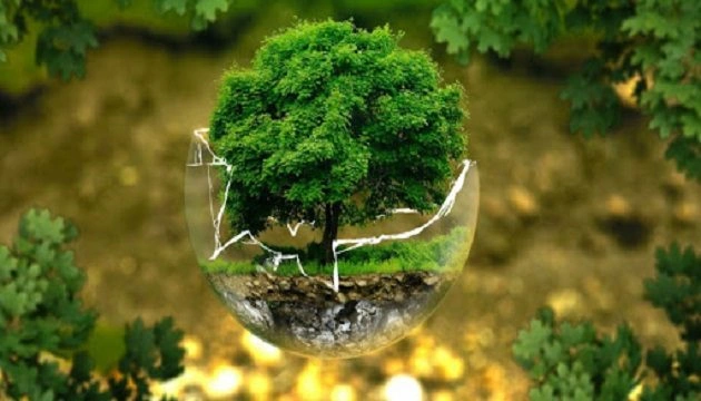 У минулому році екології України завдано збитків на понад 2 млрд гривень - Держекоінспекція