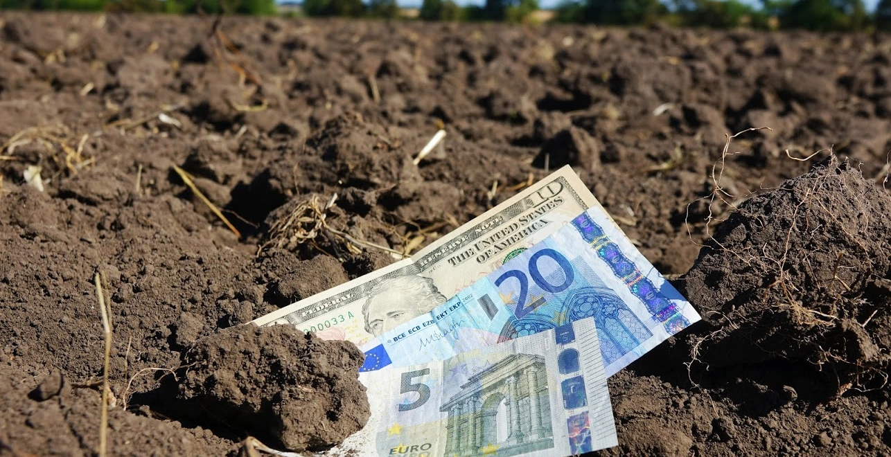 У Держекоінспекції попередили про ризики для екології з відкриттям ринку землі