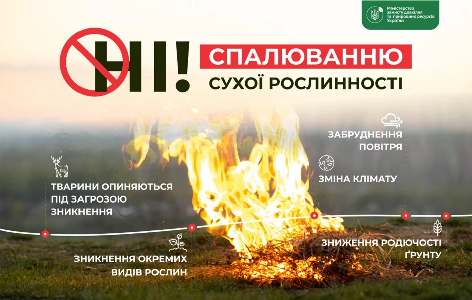 НI! спалюванню сухої рослинності