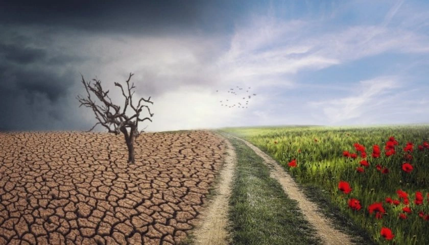 Рішення проблем екології таке ж насущне, як і подолання пандемії, - ООН